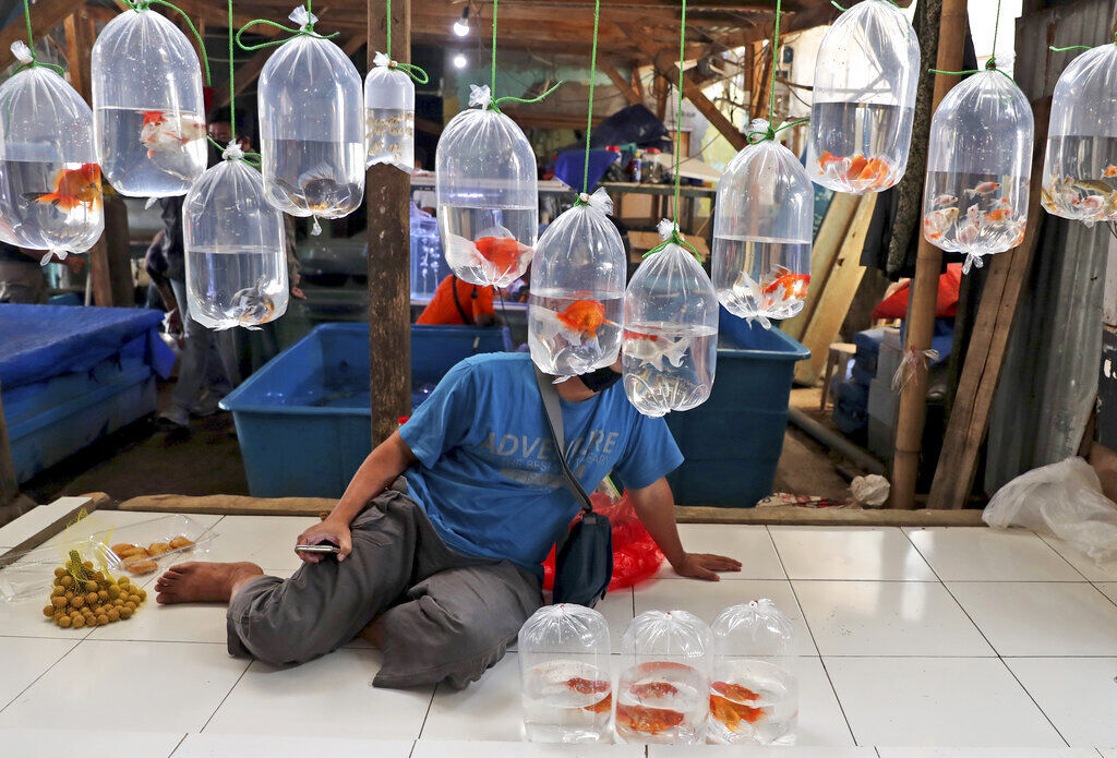APTOPIX Virus Outbreak Indonesia